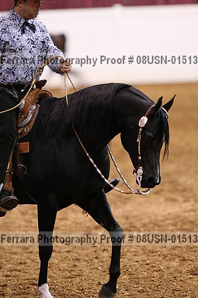 Proof Number 08usn-01513