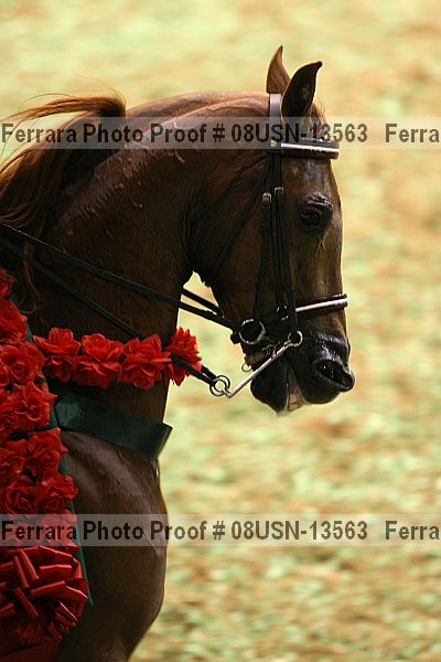 Proof Number 08usn-13563