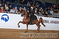 08usn-10114 thumbnail