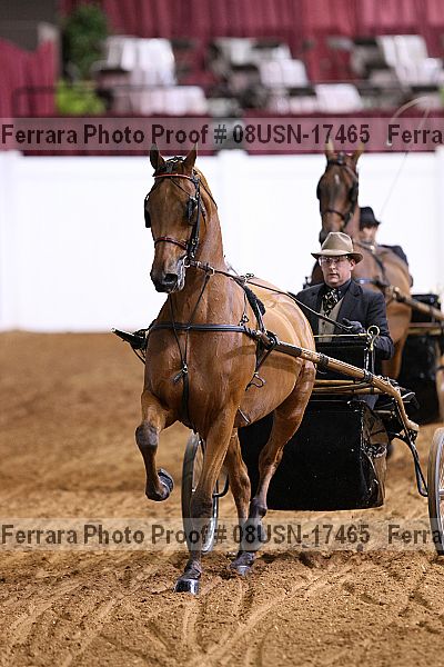 Proof Number 08usn-17465