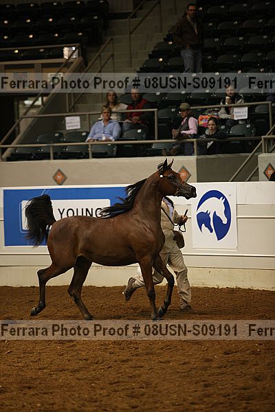Proof Number 08usn-s09191
