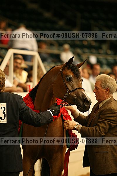 Proof Number 08usn-07896