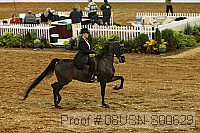 08usn-s00629 thumbnail