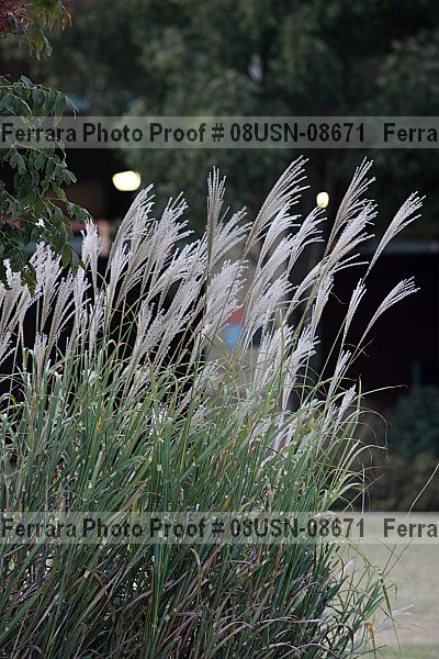 Proof Number 08usn-08671