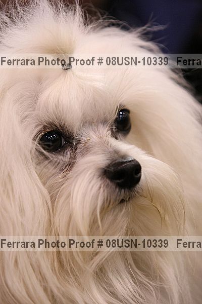 Proof Number 08usn-10339