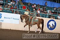 08yn-05685 thumbnail