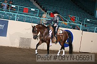 08yn-05691 thumbnail