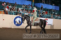 08yn-05697 thumbnail