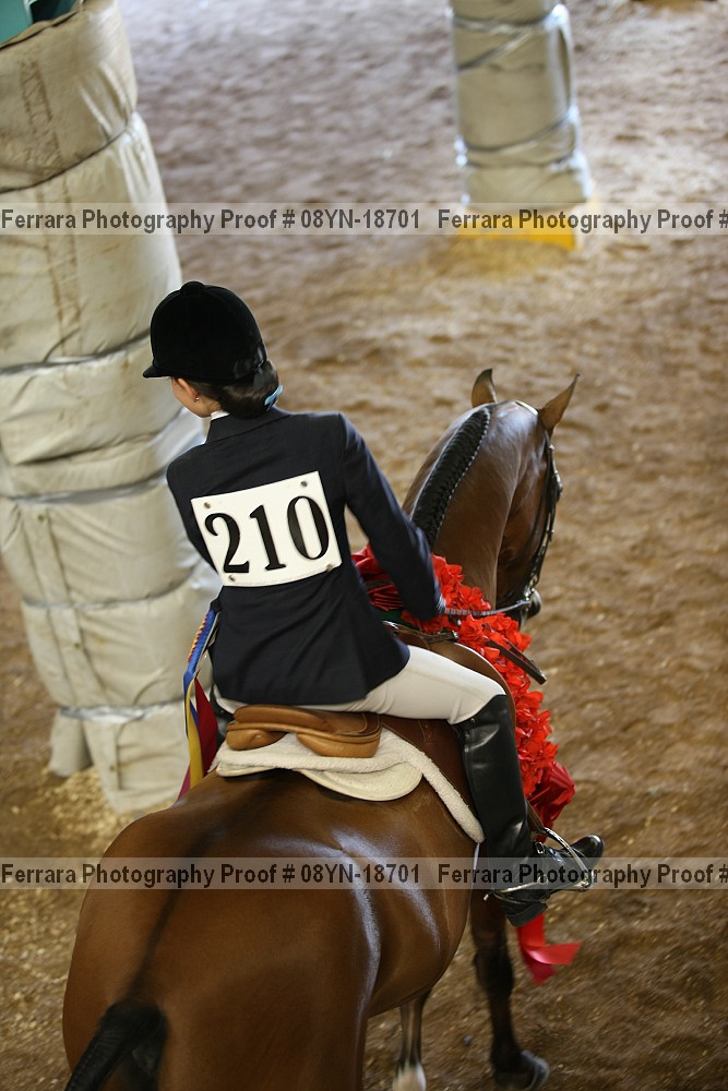 Proof Number 08yn-18701