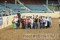 08yn-11672 thumbnail
