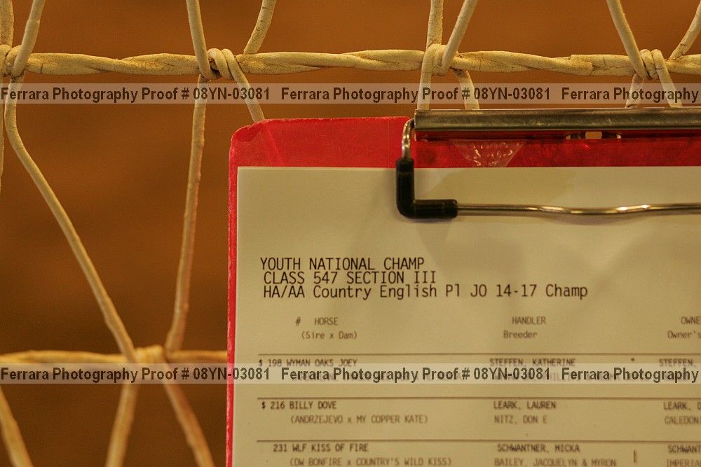 Proof Number 08yn-03081