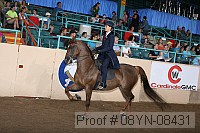 08yn-08431 thumbnail
