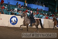 08yn-08433 thumbnail