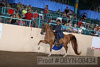 08yn-08434 thumbnail