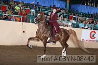 08yn-08442 thumbnail