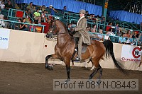 08yn-08443 thumbnail