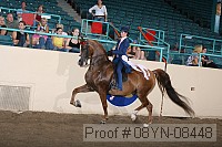 08yn-08448 thumbnail
