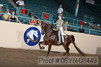 08yn-08449 thumbnail
