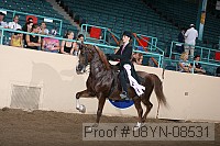 08yn-08531 thumbnail
