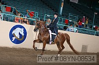 08yn-08534 thumbnail