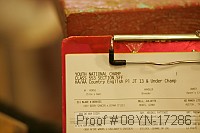 08yn-17286 thumbnail