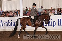 08yn-00988 thumbnail