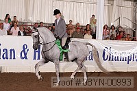 08yn-00993 thumbnail