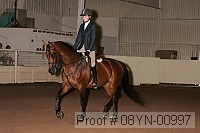 08yn-00997 thumbnail