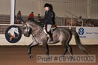 08yn-01002 thumbnail