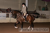 08yn-01004 thumbnail