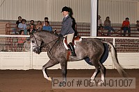 08yn-01007 thumbnail