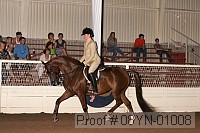 08yn-01008 thumbnail