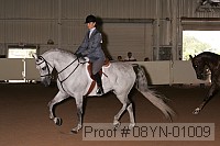 08yn-01009 thumbnail