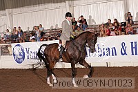 08yn-01023 thumbnail