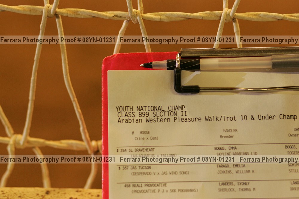 Proof Number 08yn-01231