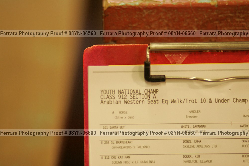Proof Number 08yn-06560