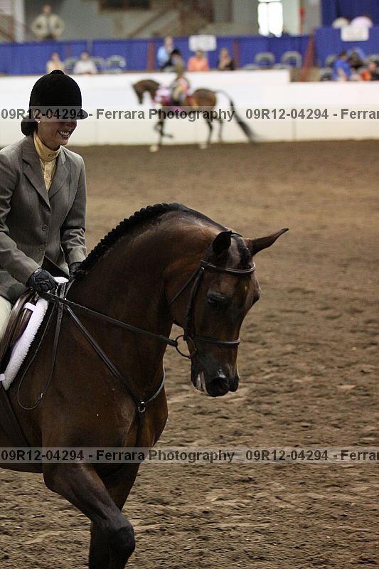 Proof Number 09r12-04294