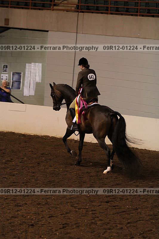 Proof Number 09r12-01224