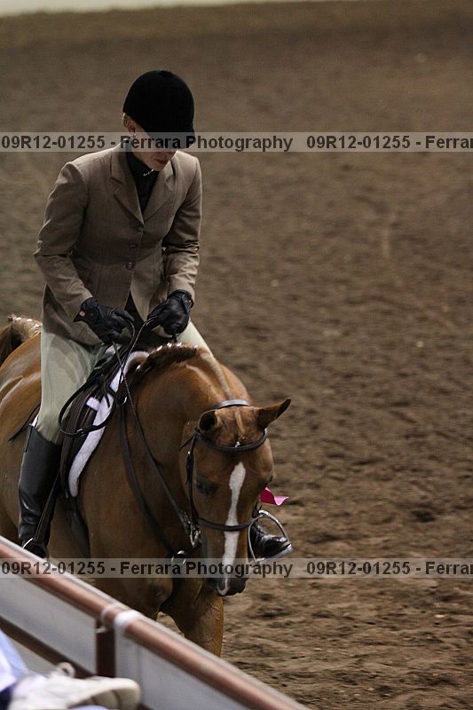 Proof Number 09r12-01255