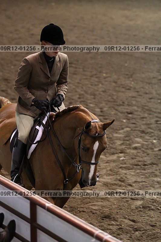 Proof Number 09r12-01256