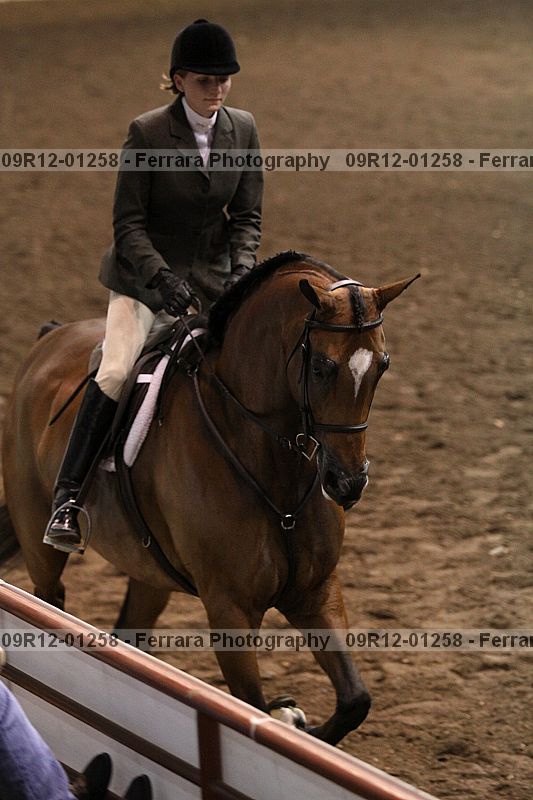 Proof Number 09r12-01258