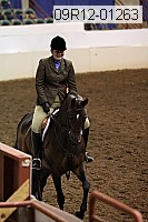 09r12-01263 thumbnail