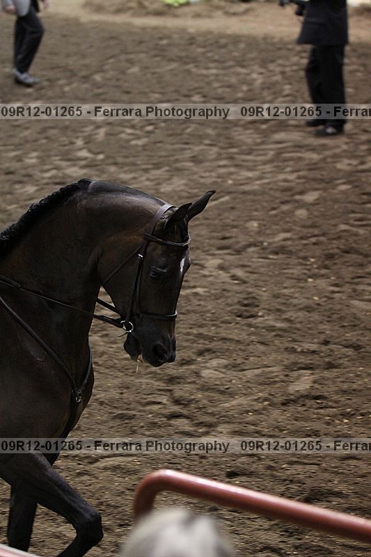 Proof Number 09r12-01265
