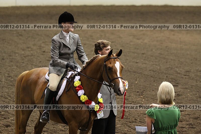 Proof Number 09r12-01314