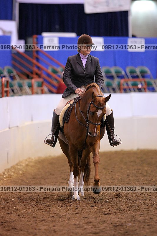 Proof Number 09r12-01363