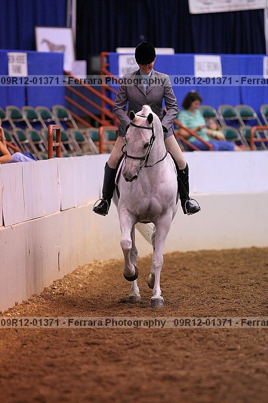 Proof Number 09r12-01371