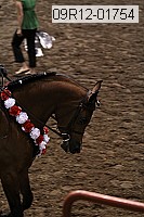 09r12-01754 thumbnail