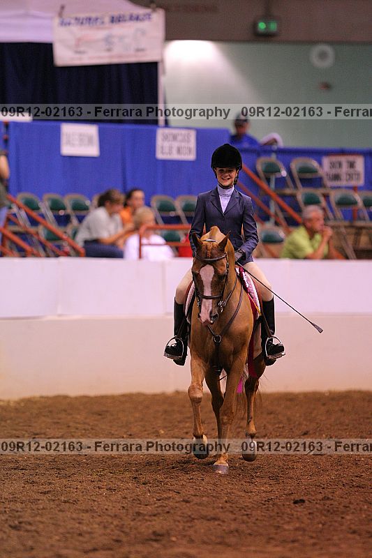 Proof Number 09r12-02163