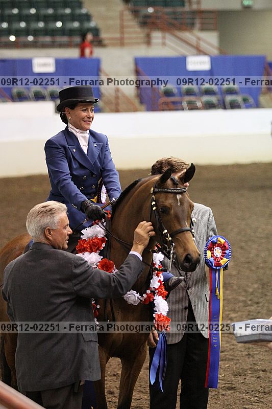 Proof Number 09r12-02251