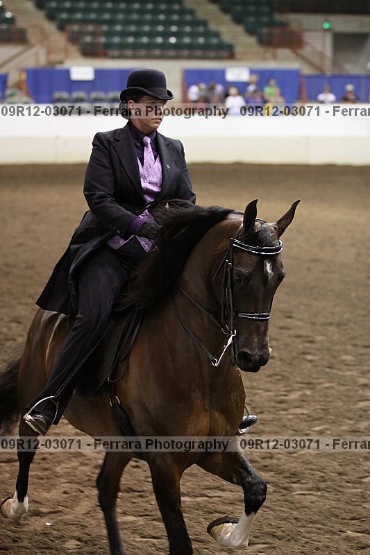 Proof Number 09r12-03071